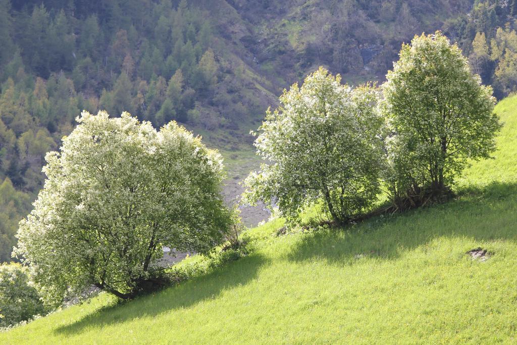 Apart Gletscherblick Каунертал Екстериор снимка